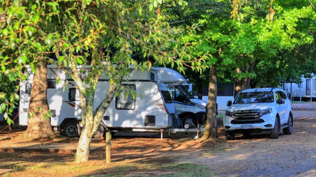 Big4 Porepunkah Holiday Park Bright Esterno foto