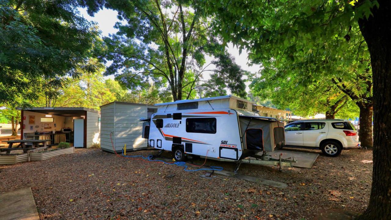 Big4 Porepunkah Holiday Park Bright Esterno foto
