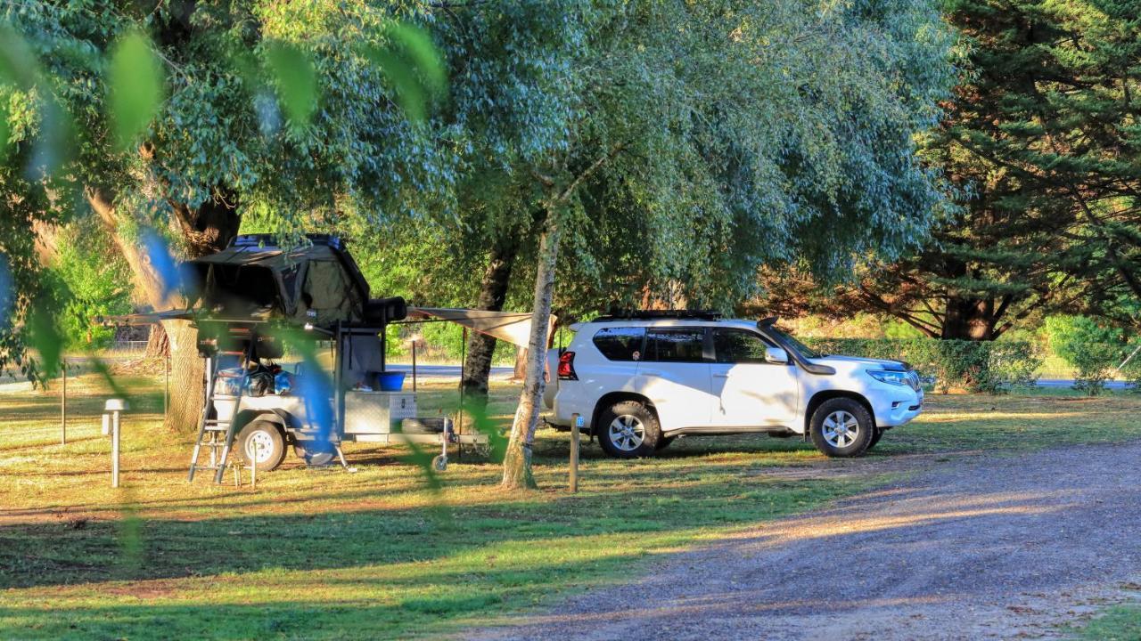 Big4 Porepunkah Holiday Park Bright Esterno foto